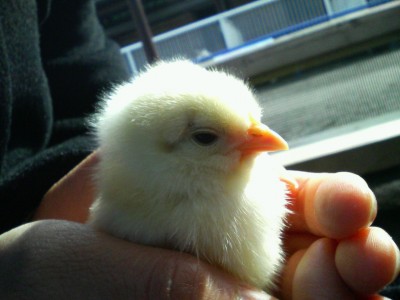 201002142023000.jpg