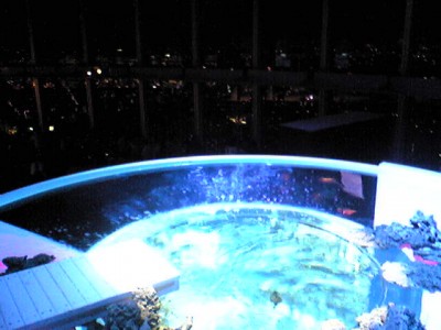 SBSH0041.JPG