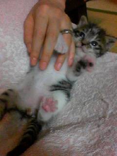 050924_0010~003.JPG