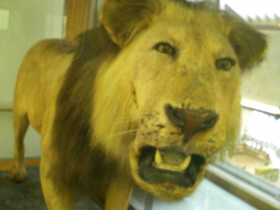 201002271441000.jpg