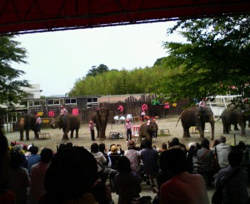201006051240000.jpg