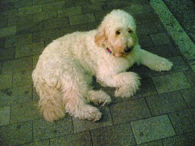 20090922(2).jpg