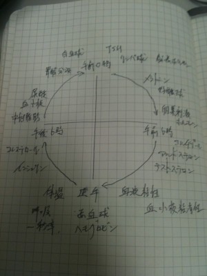 IMG_0024[1].jpg