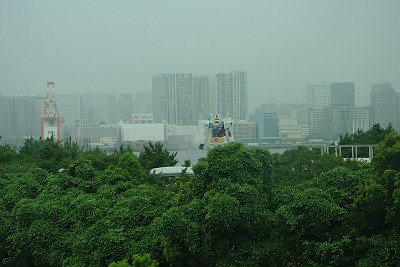 IMGP1935.jpg