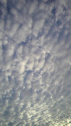 P1000157.jpg