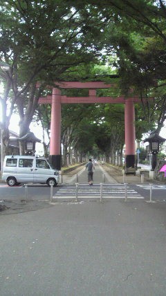 P1000158.jpg