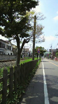 P1000144.jpg