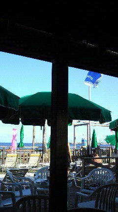 P1000239.jpg