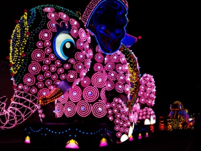 091102_200824.jpg