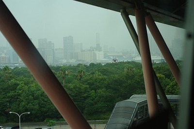 IMGP1925.jpg