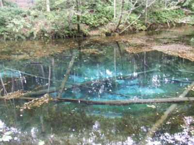 DSCF1738.JPG