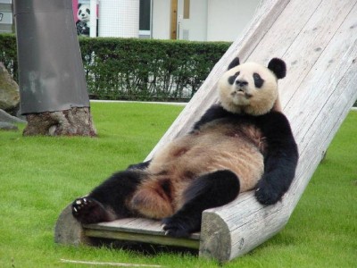 やる気.jpg